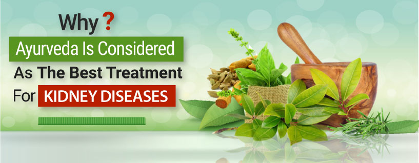 Why Ayurveda Is Considered As The Best Treatment For Kidney Diseases?