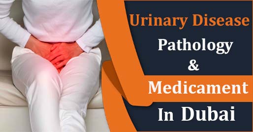 Urinary disease pathology and medicament in Dubai