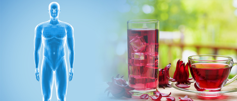 Advantages-Drinking-Hibiscus-Tea-Human-Body