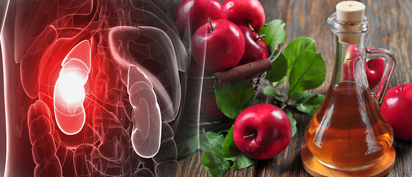 Apple-Cider-Vinegar-for-Kidney-Infections