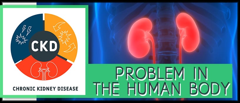 ckd-problem-in-the-human-body