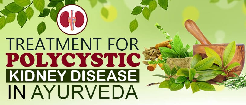 treating-ayurveda-polycystic-kidney-disease