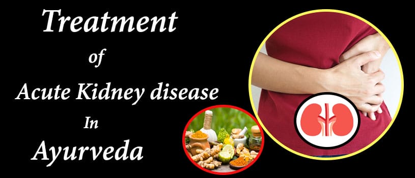 treatment for acute kidney disease