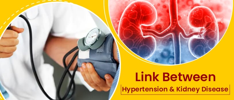 link between hypertension kidney disease