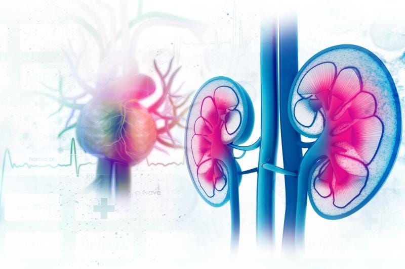polycystic-kidney-disease-treatment