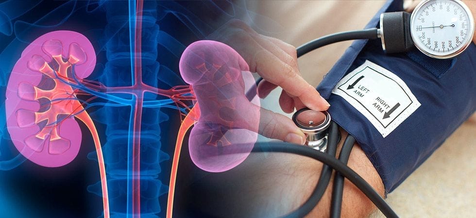 blood-pressure-and-kidneys-relation