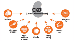 causes-of-chronic kidney disease