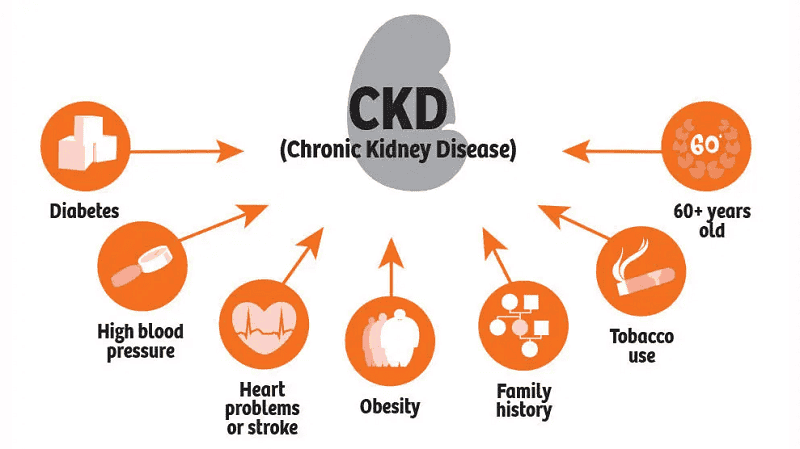 causes-of-ckd