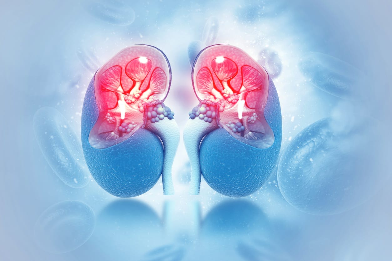 kidney-treatment