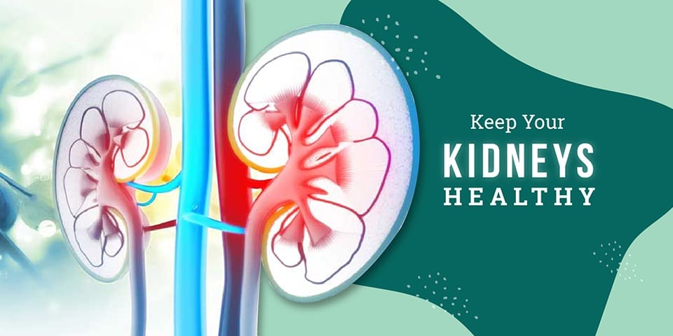kidney-healthy