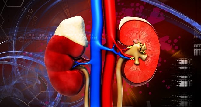 Acute Kidney Injury