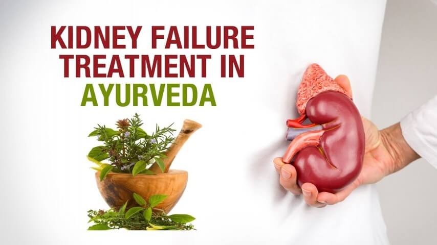 ayurveda-treats-kidney-illnesses