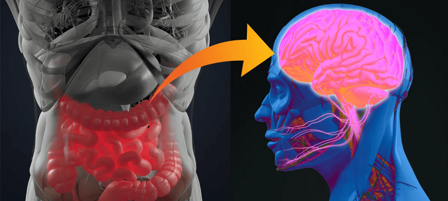 kidney-disease-effects-brain