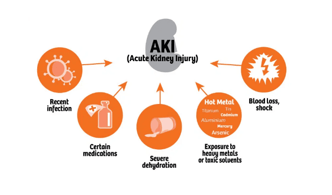 risk-factor-for-acute-kidney-failure